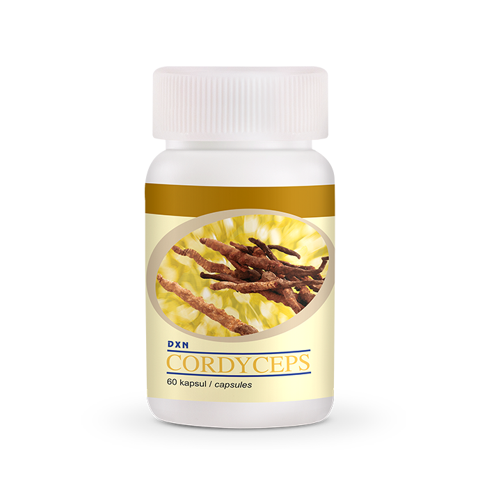 DXN CORDYCEPS 60 KAPSUŁEK