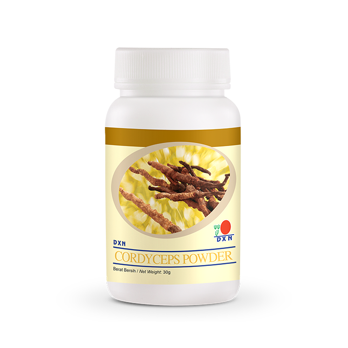 DXN CORDYCEPS W PROSZKU 30G
