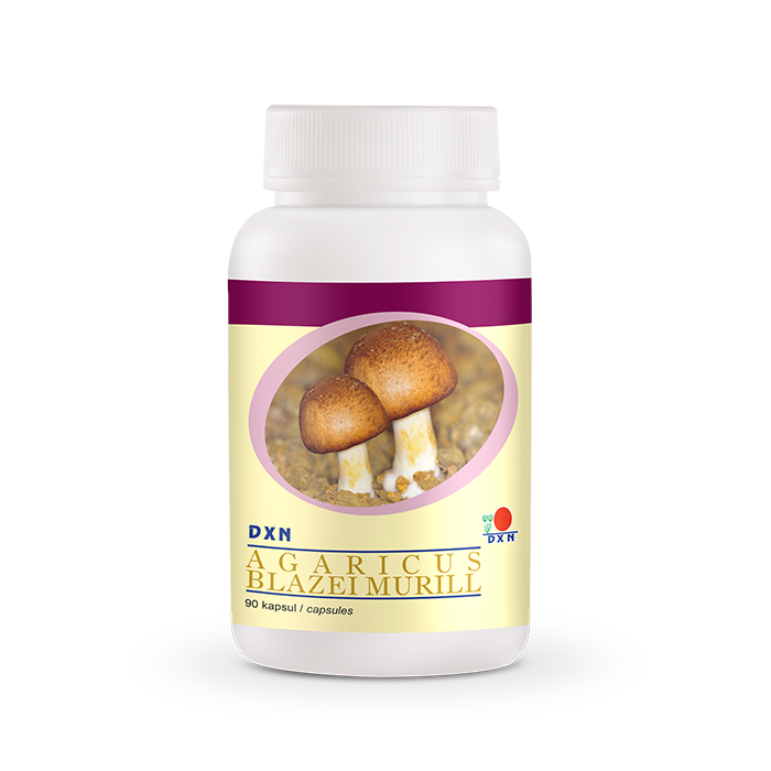 DXN AGARICUS BLAZEI MURILL 90 KAPSUŁEK (PIECZARKA BRAZYLIJSKA)