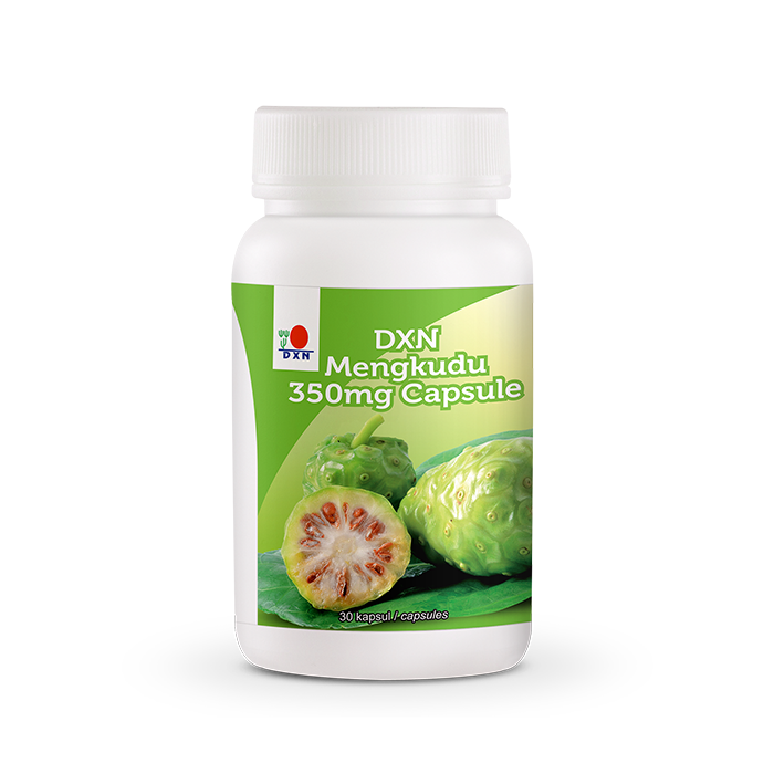 DXN MENGKUDU 350MG 30 KAPSUŁEK